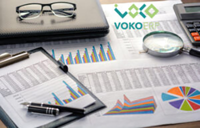 دليل الحسابات في برنامج حسابات Voko ERP